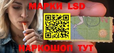 крисы Камышлов