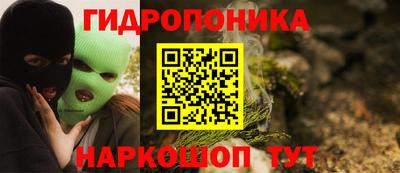 крисы Камышлов
