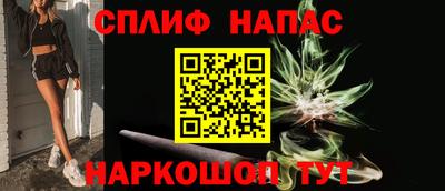 крисы Камышлов