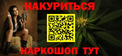 крисы Камышлов