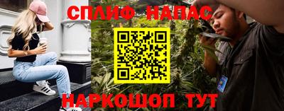 крисы Камышлов